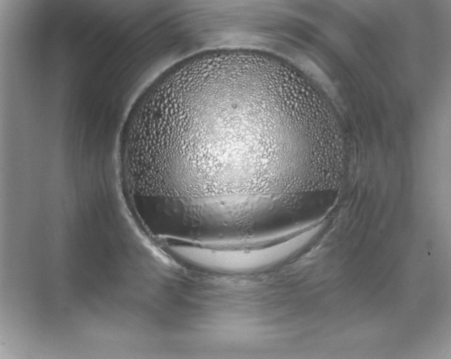 X0000070230990200606091712