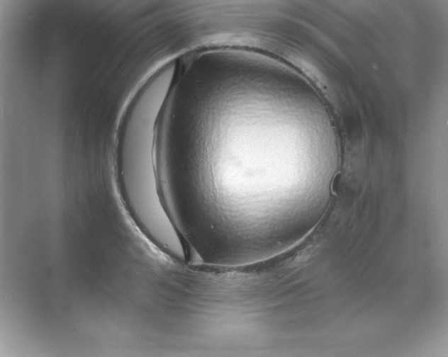 X0000070230992200606091712