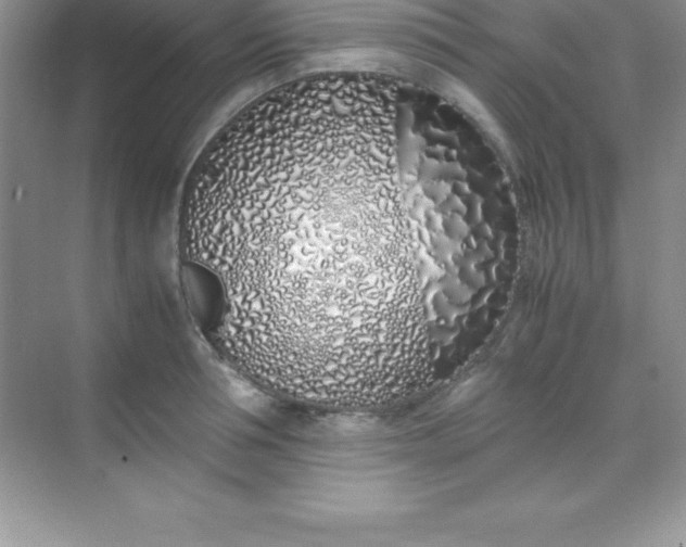 X0000070230994200606091712