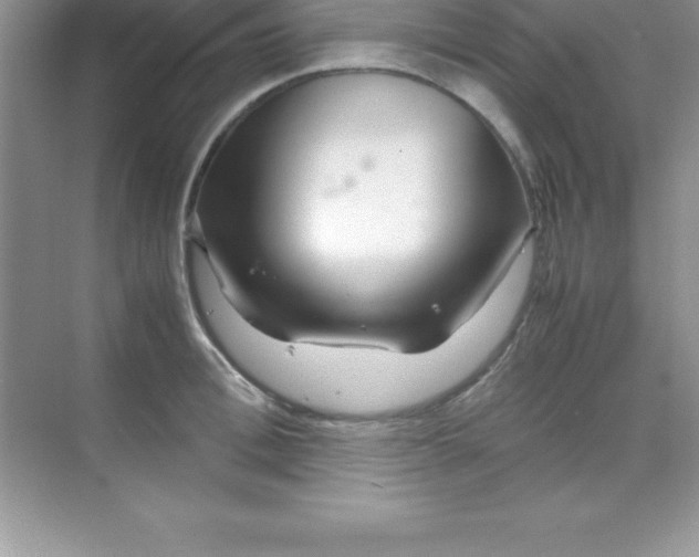 X0000070230996200606091712