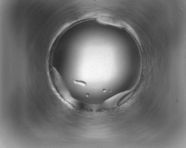 X0000070230997200606091712