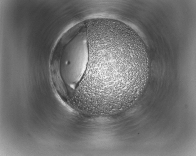 X0000070230998200606091712