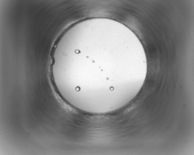 X0000070231000200606091712