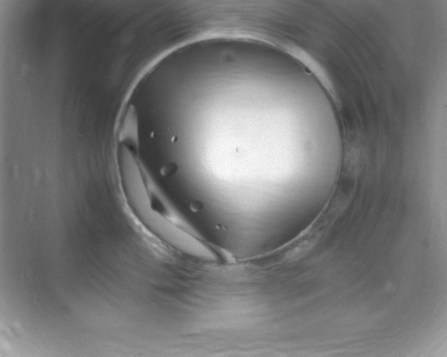 X0000070231004200606091712