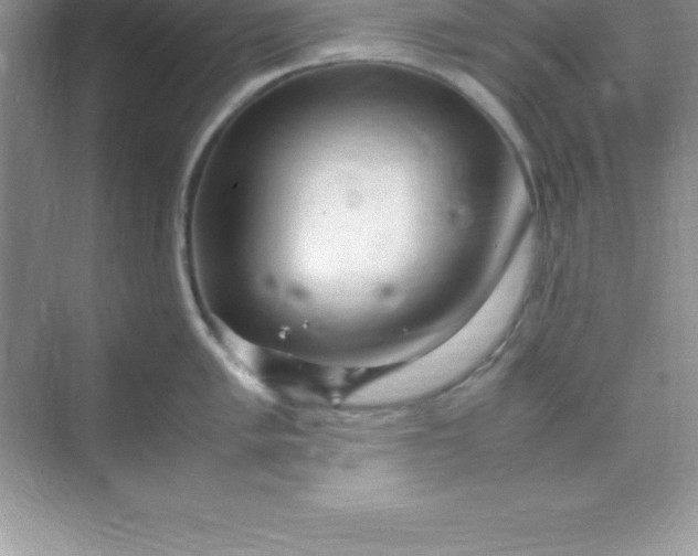 X0000070231005200606091712