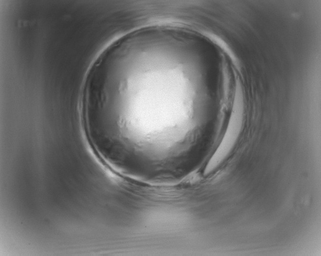 X0000070231007200606091712