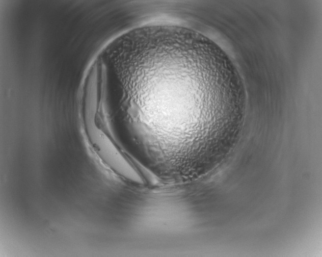 X0000070231008200606091712