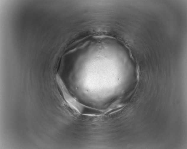 X0000070231009200606091711