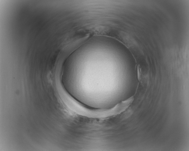 X0000070231010200606091711