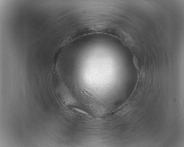 X0000070231012200606091711