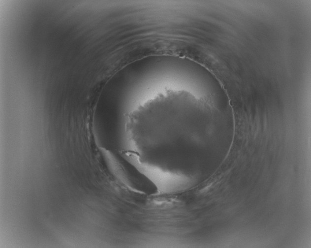 X0000070231013200606091711