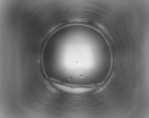 X0000070231017200606091711