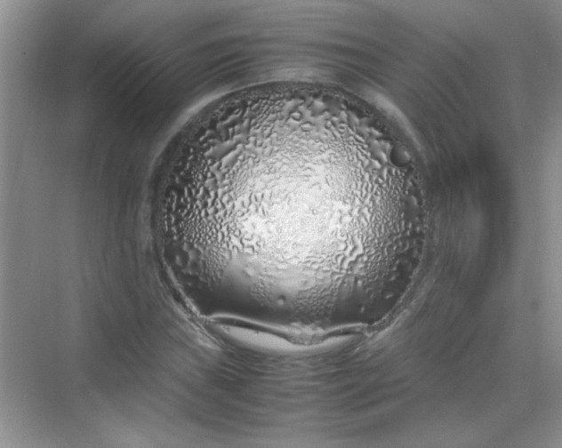 X0000070231019200606091711