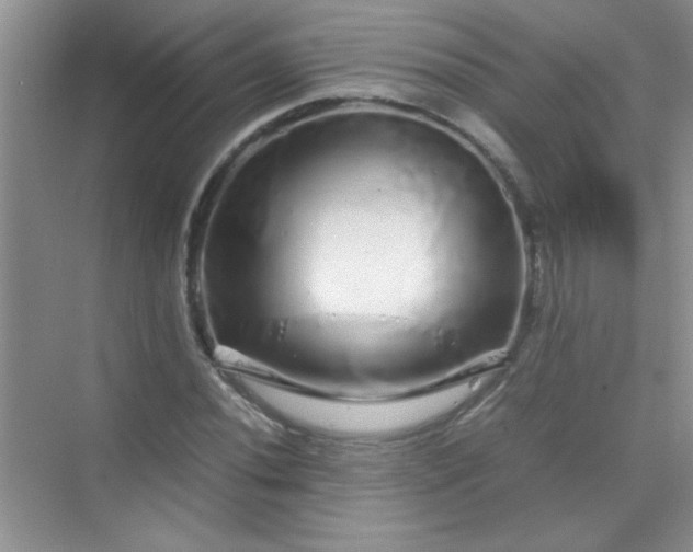 X0000070231020200606091711