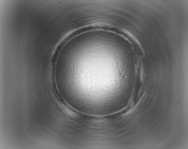 X0000070231021200606091711