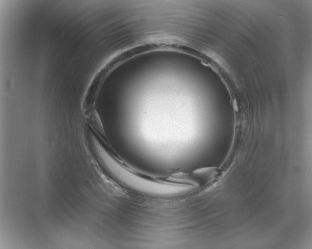 X0000070231022200606091711