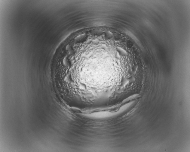 X0000070231023200606091711