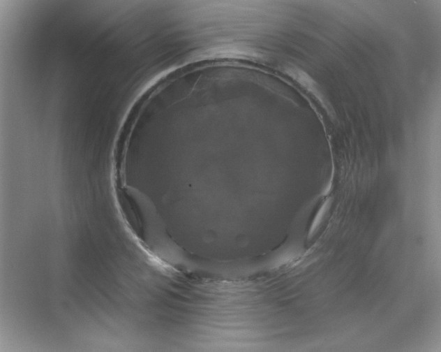 X0000070231024200606091711