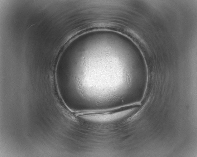 X0000070231025200606091711