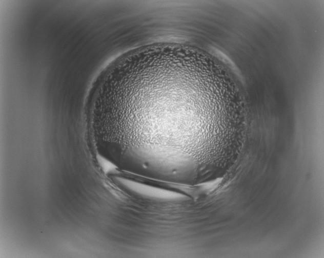 X0000070231027200606091711