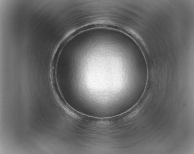 X0000070231029200606091711