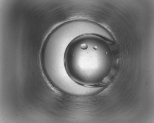 X0000070231030200606091711