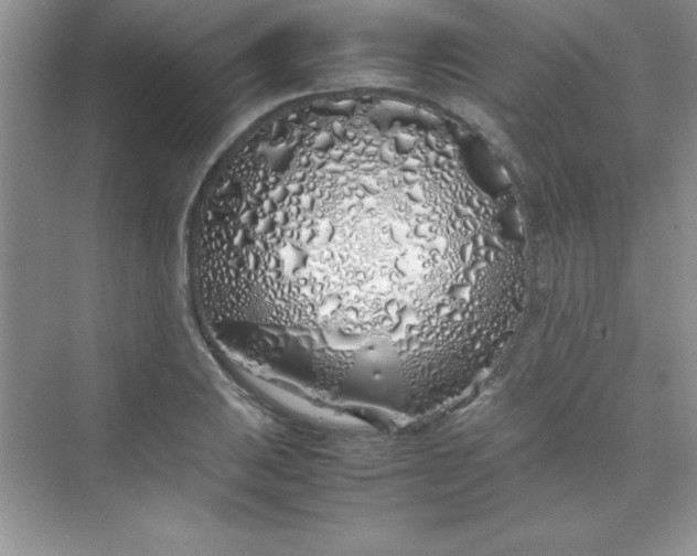 X0000070231031200606091712