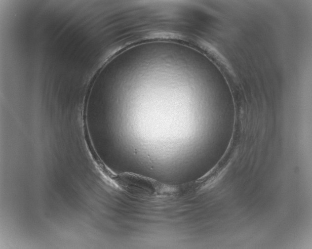 X0000070231033200606091712