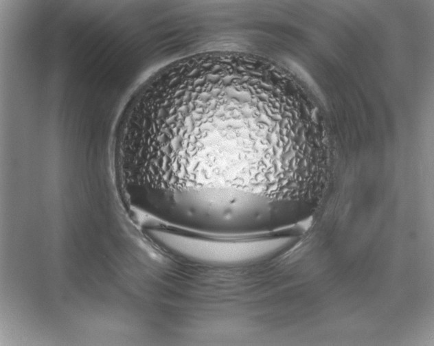 X0000070231035200606091712