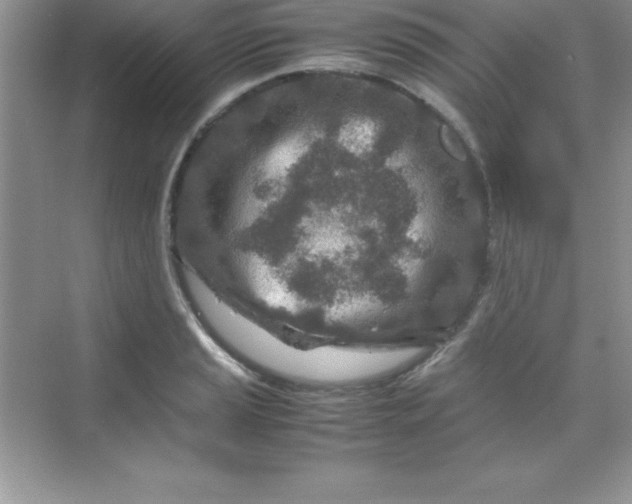 X0000070231037200606091712