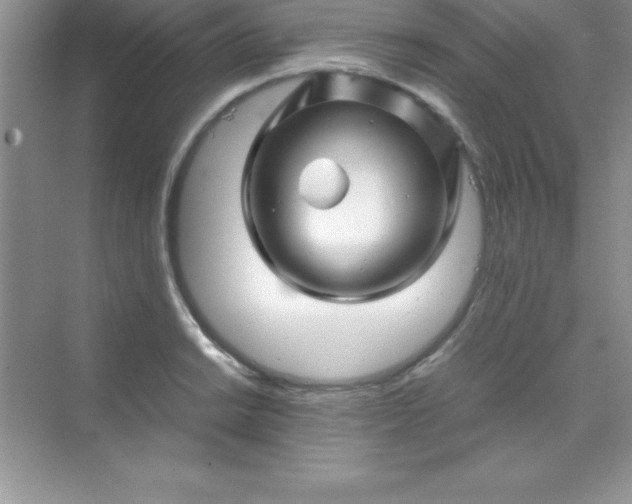 X0000070231038200606091712