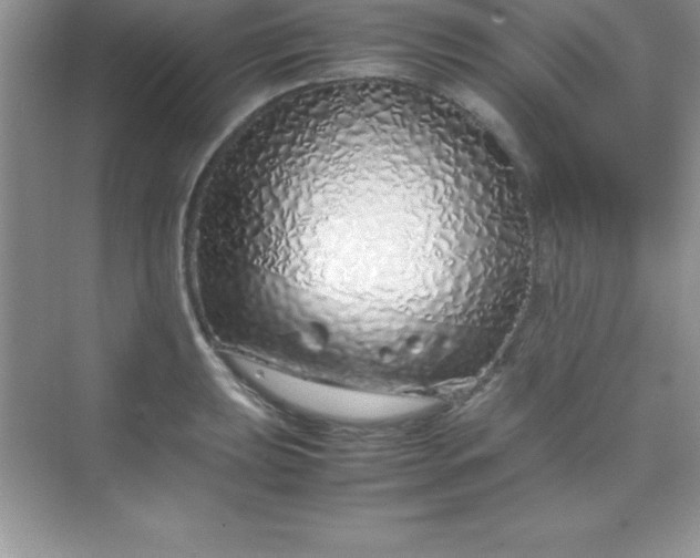 X0000070231039200606091712