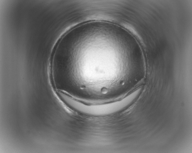 X0000070231040200606091712