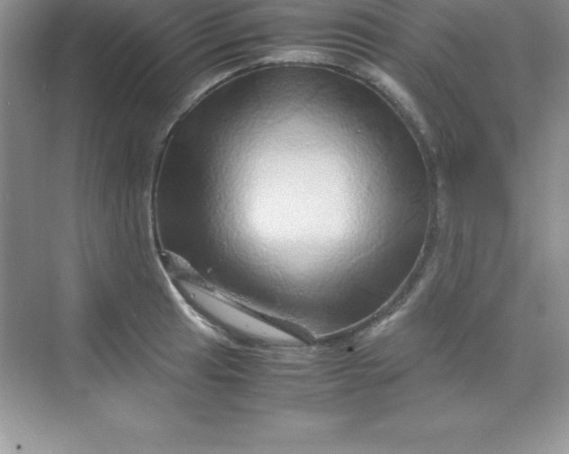 X0000070231041200606091712