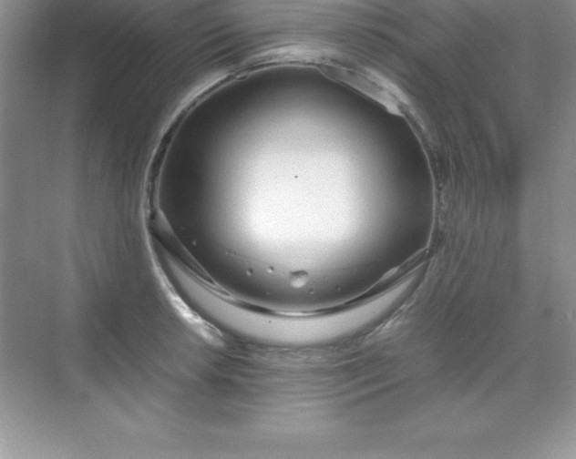 X0000070231042200606091712