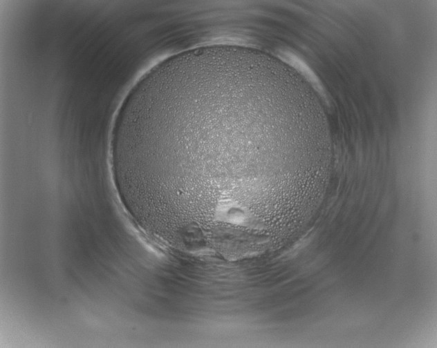 X0000070231043200606091712