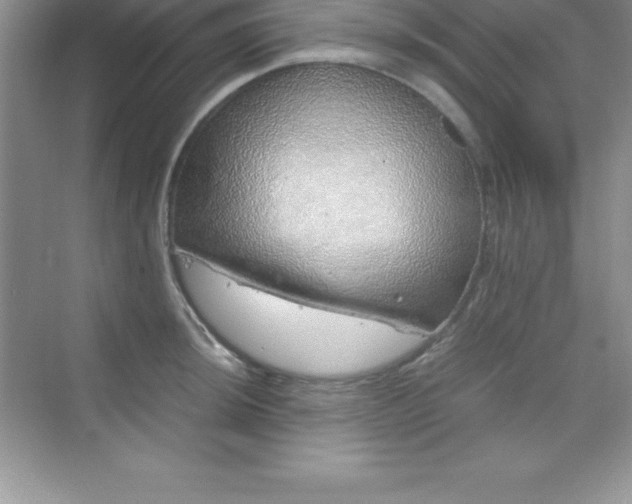 X0000070231044200606091712