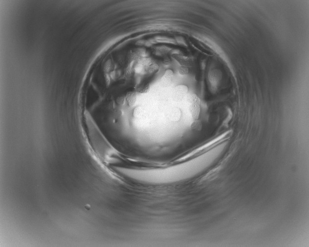 X0000070231045200606091712