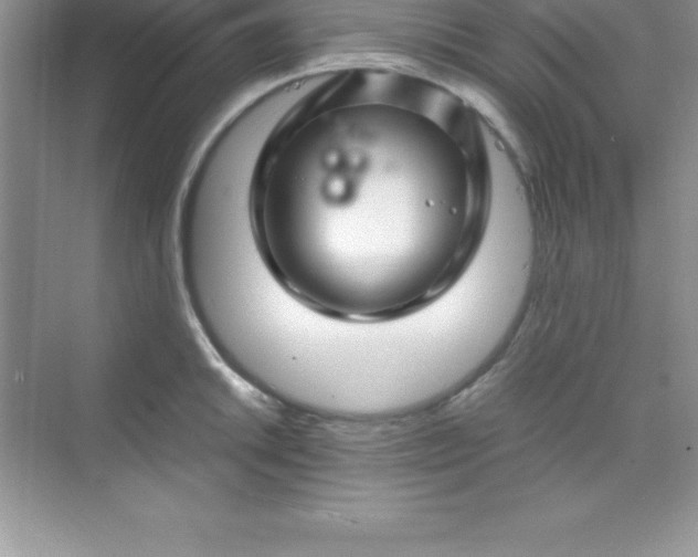 X0000070231046200606091712