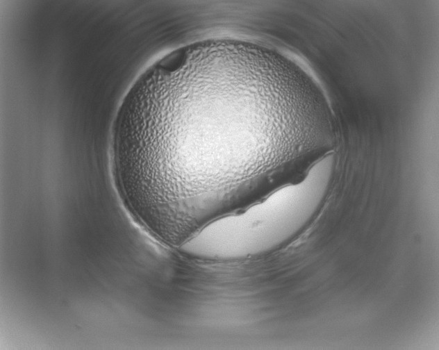 X0000070231048200606091712