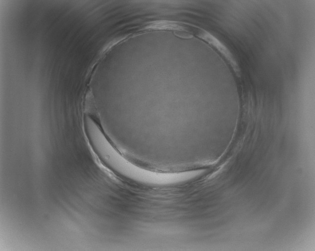 X0000070231049200606091712