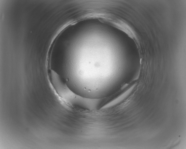 X0000070231050200606091712