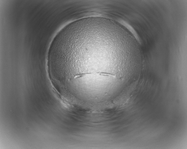 X0000070231051200606091712