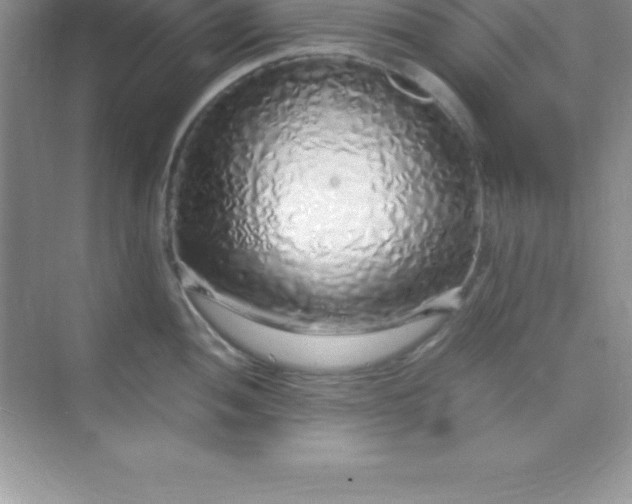 X0000070231052200606091712