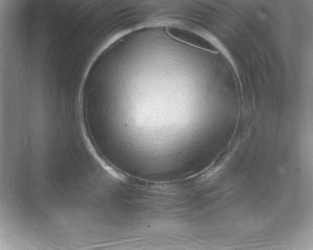 X0000070231053200606091712