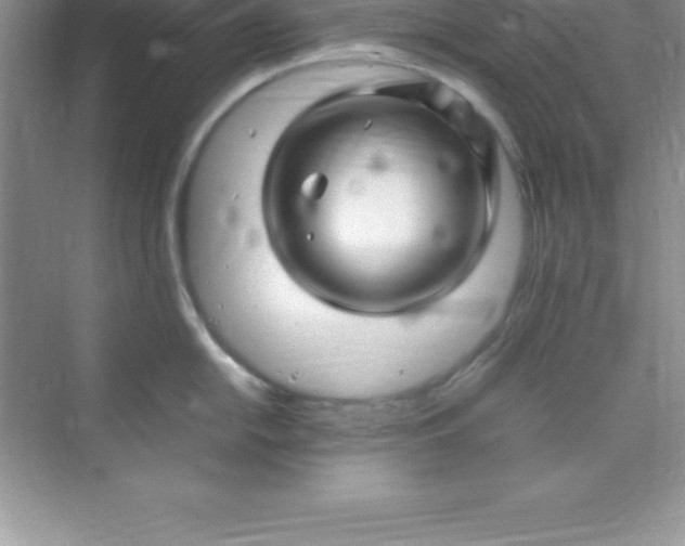 X0000070231054200606091712