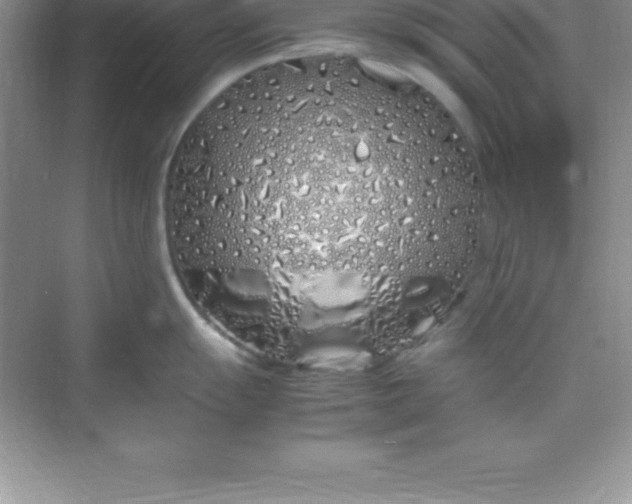 X0000070231055200606091712