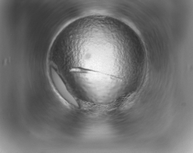 X0000070231056200606091712