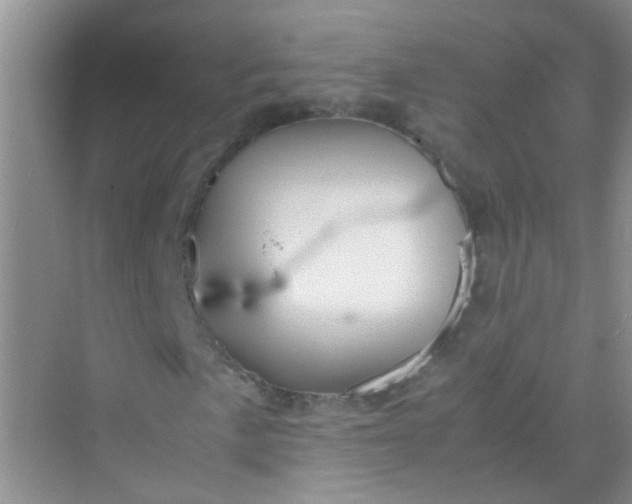 X0000070231057200606091711