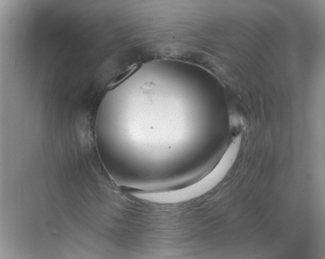 X0000070231058200606091711